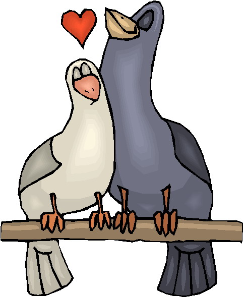 BIRD947_1_