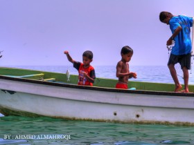 صور من ابداع اعضاء عمان فوتو