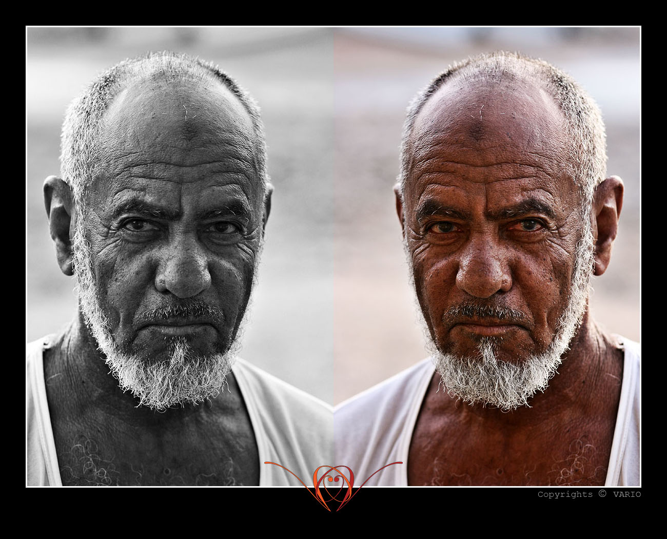 صور من ابداع اعضاء عمان فوتو