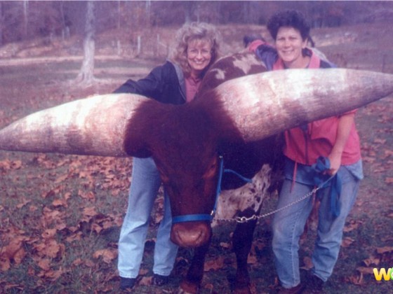 w6w20050411135434313f919d0