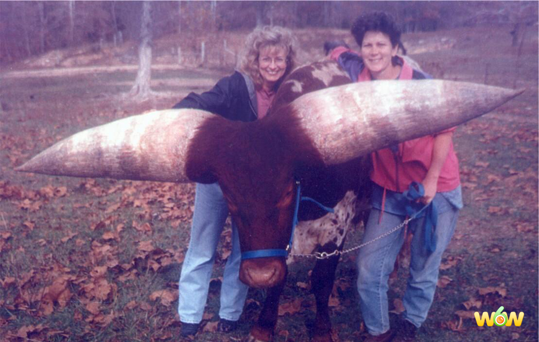 w6w20050411135434313f919d0