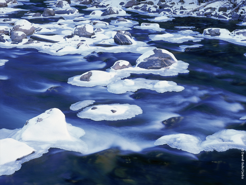 WO_SCN031