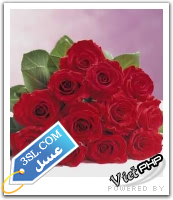 thumb_roos_2274z_3SL-com_1_