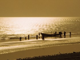 صور من ابداع اعضاء عمان فوتو