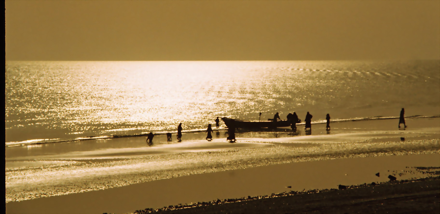صور من ابداع اعضاء عمان فوتو