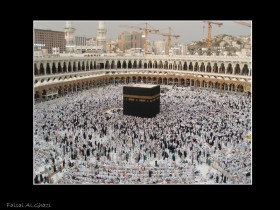 صور من ابداع اعضاء عمان فوتو
