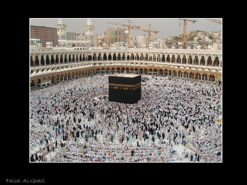 صور من ابداع اعضاء عمان فوتو