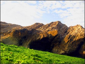 صور من ابداع اعضاء عمان فوتو