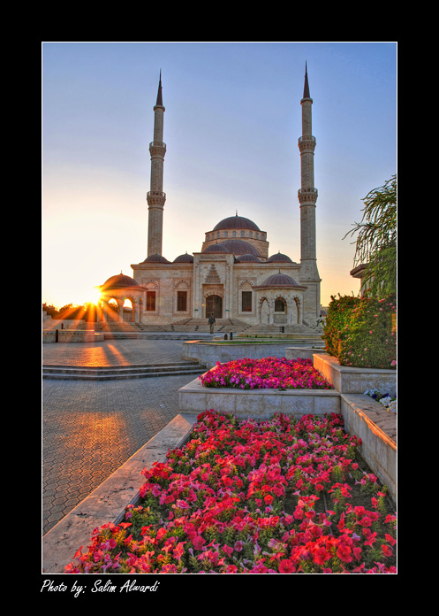 صور من ابداع اعضاء عمان فوتو