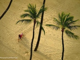 national-geographic-top-35-photos-of-2009-photograph-by-melinda-podor