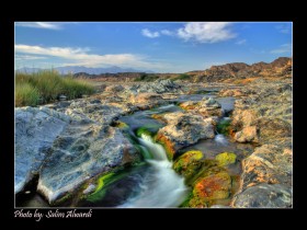 صور من ابداع اعضاء عمان فوتو