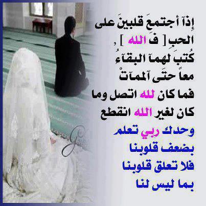 598824_10151419639883647_1269710149_n