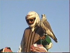 alqns-4