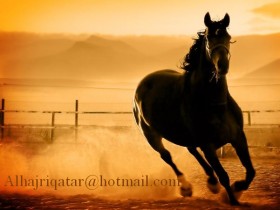 Copy_of_142_01215679903