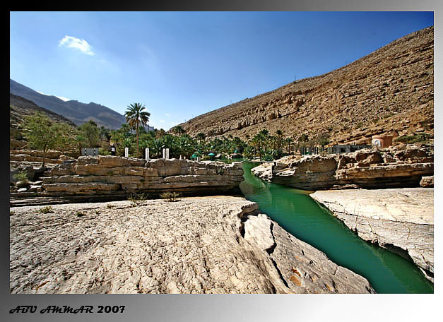 صور من ابداع اعضاء عمان فوتو