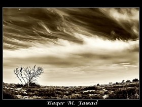 صور من ابداع اعضاء عمان فوتو