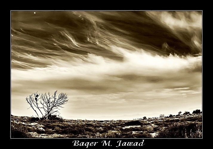 صور من ابداع اعضاء عمان فوتو