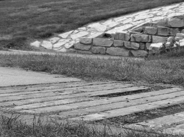 صور منوعة من الإنترنت