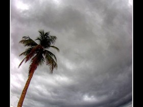 صور من ابداع اعضاء عمان فوتو