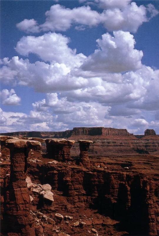 صور منوعة من الإنترنت