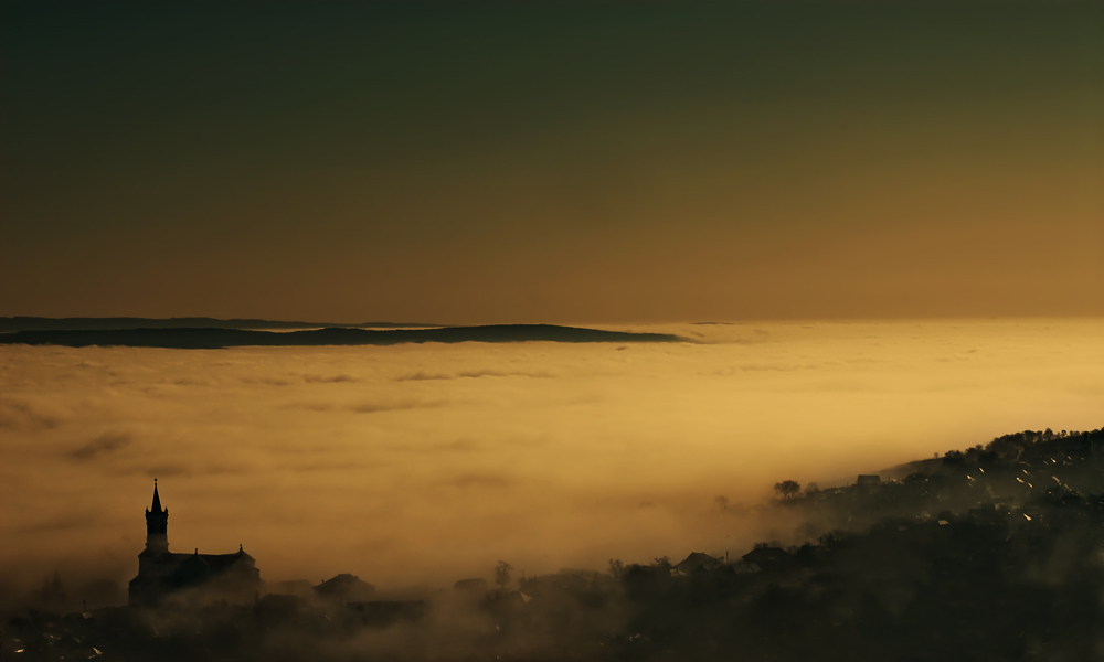 صور منوعة من الإنترنت