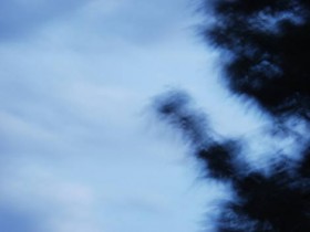 صور منوعة من الإنترنت