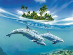 DOLPHIN_family_by_illugraphy