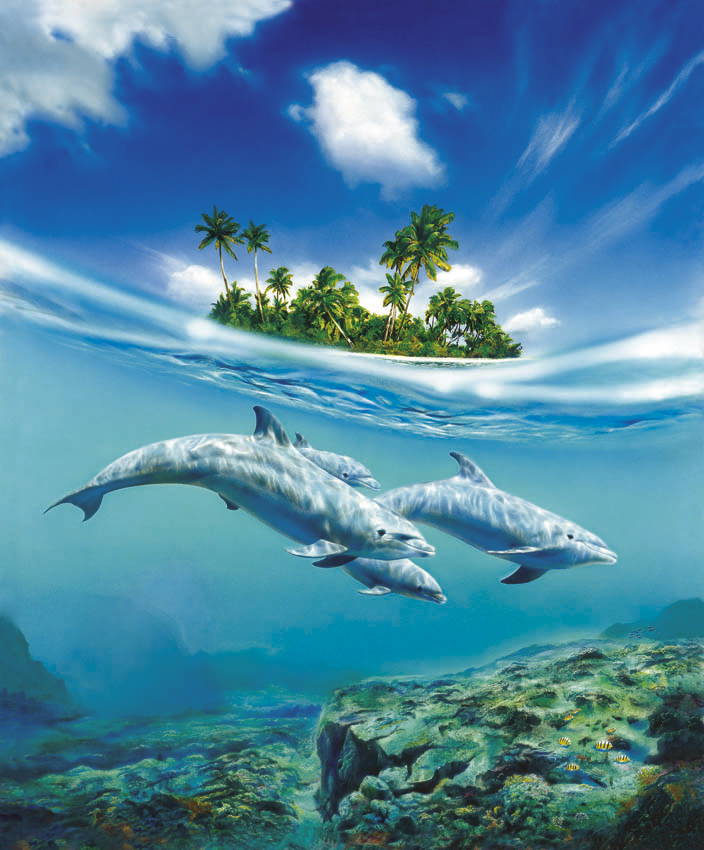 DOLPHIN_family_by_illugraphy