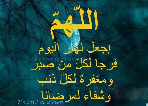 66110_10151518897941457_871285534_n