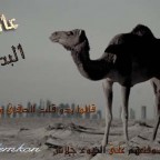 daloo3a (47)
