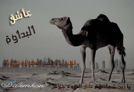 daloo3a (47)