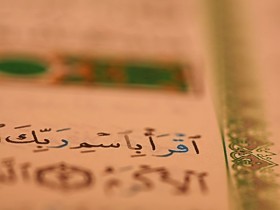 صور من ابداع اعضاء عمان فوتو