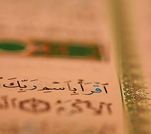 صور من ابداع اعضاء عمان فوتو