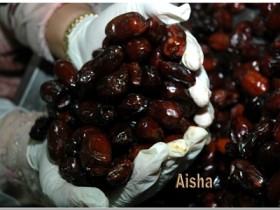 صور من ابداع اعضاء عمان فوتو