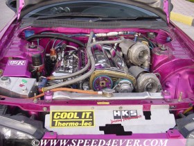 pink-6