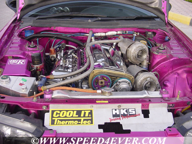 pink-6