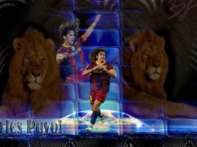 puyol wall