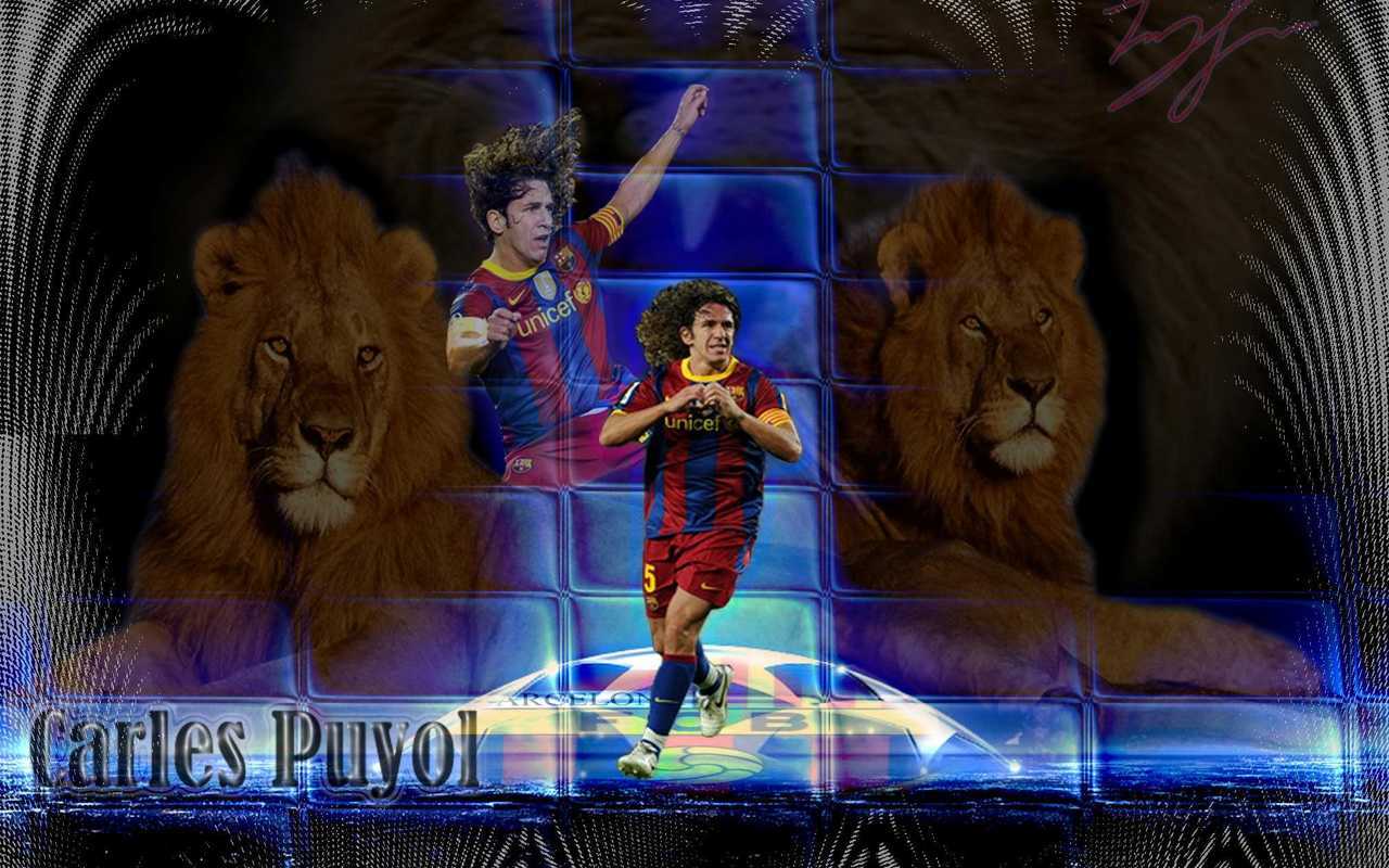 puyol wall