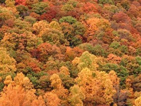 w6w20060429013114150b82b7_1_