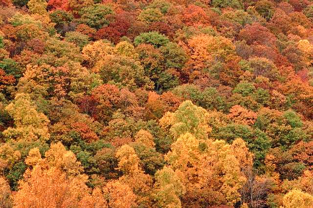 w6w20060429013114150b82b7_1_