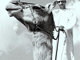 صور من ابداع اعضاء عمان فوتو