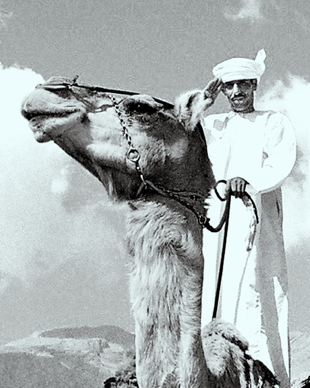 صور من ابداع اعضاء عمان فوتو