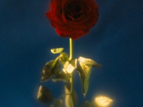 صور من ابداع اعضاء عمان فوتو