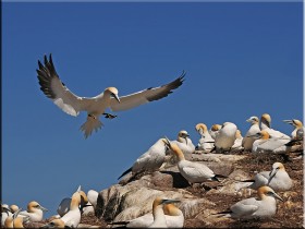 صور منوعة من الإنترنت