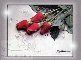 Warda_4