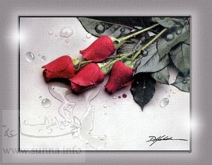 Warda_4