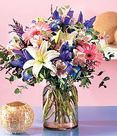 صور الطبيعة