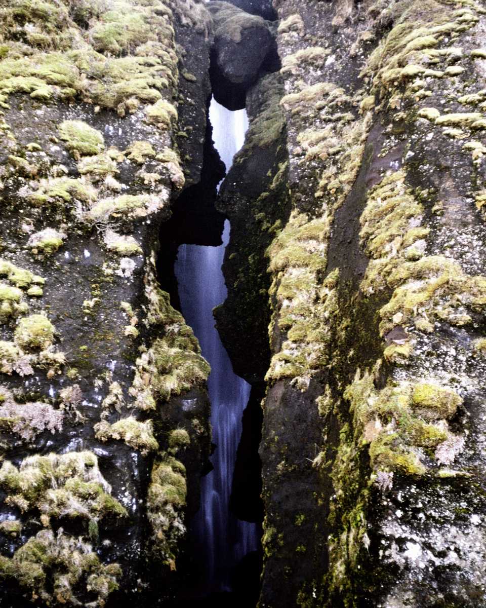 SCWT0089