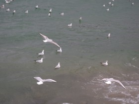 DSC00261