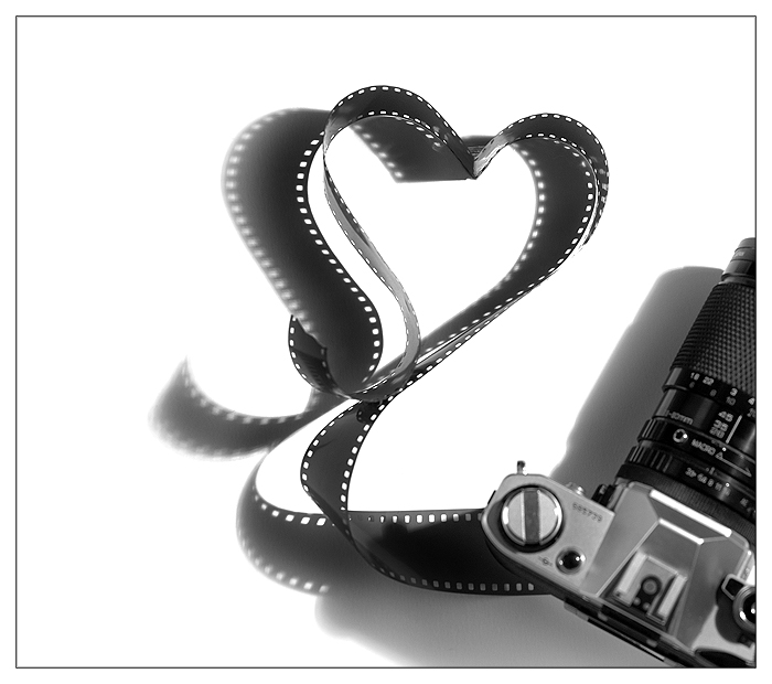 for_the_love_of_film_by_fangedfem